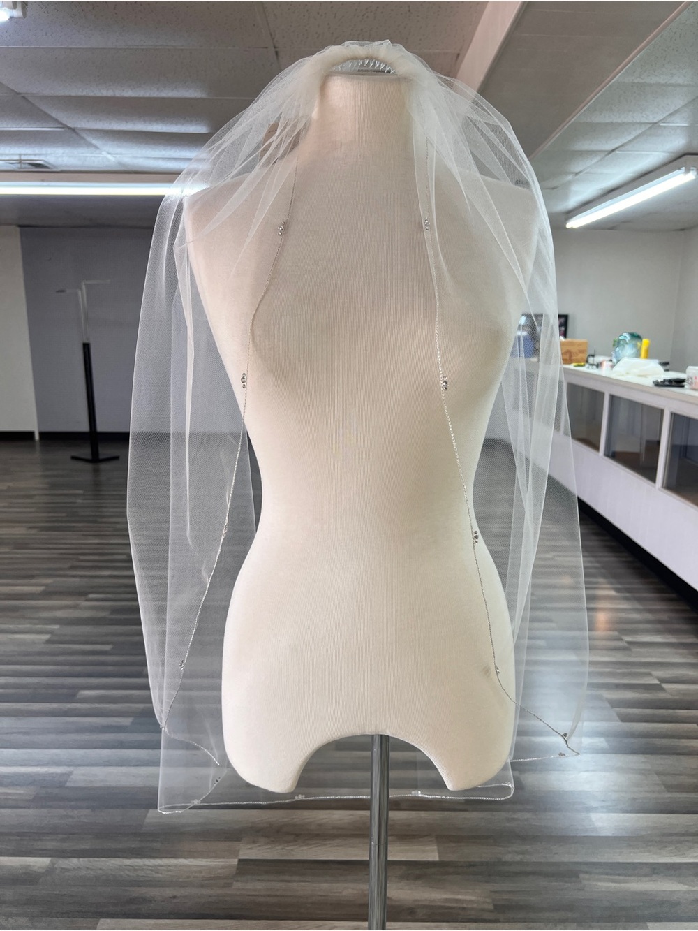 Classic Ivory Bridal Veil with Scattered Beaded Edge and Silver Edging.